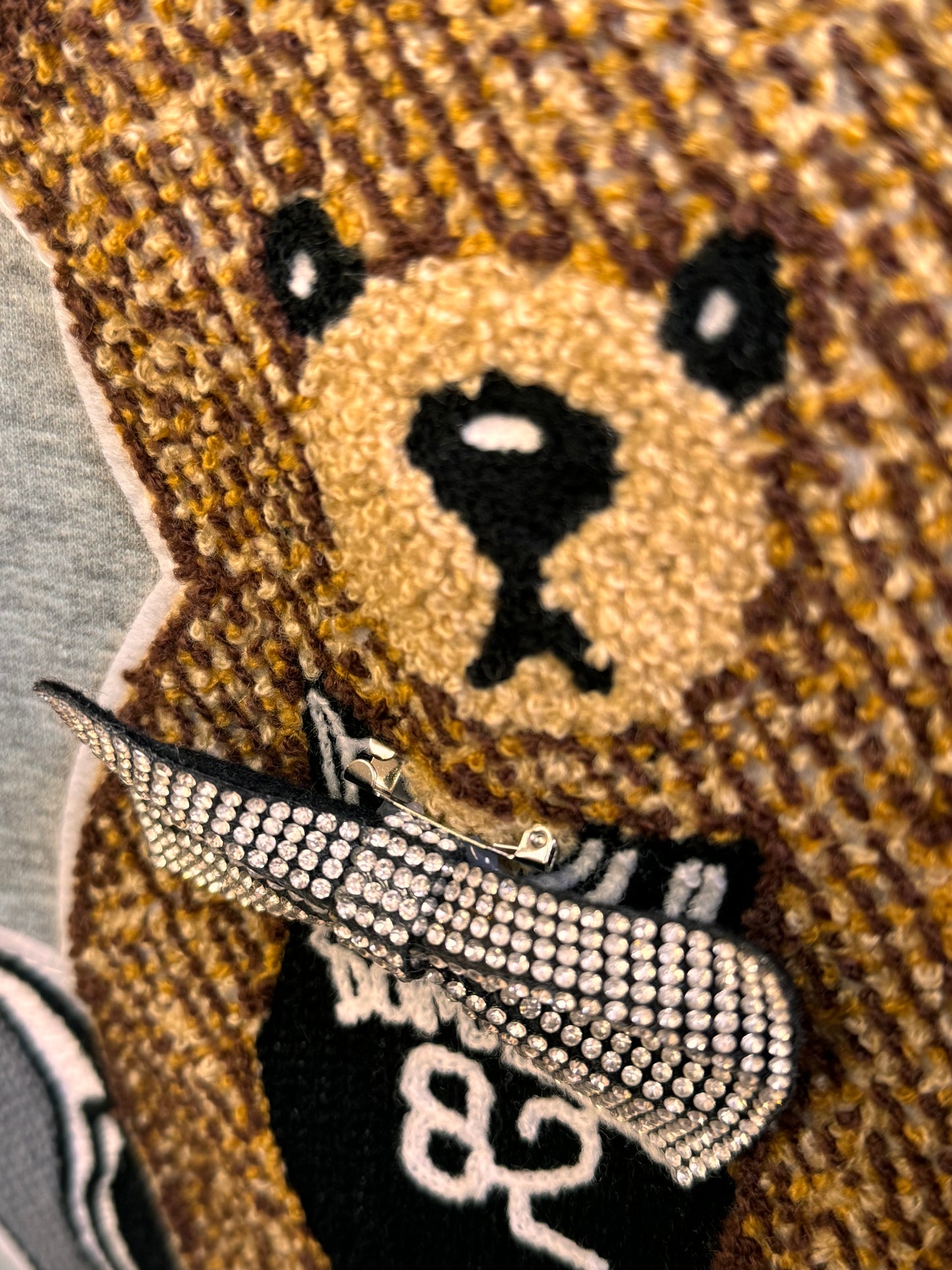 Bear Φούτερ