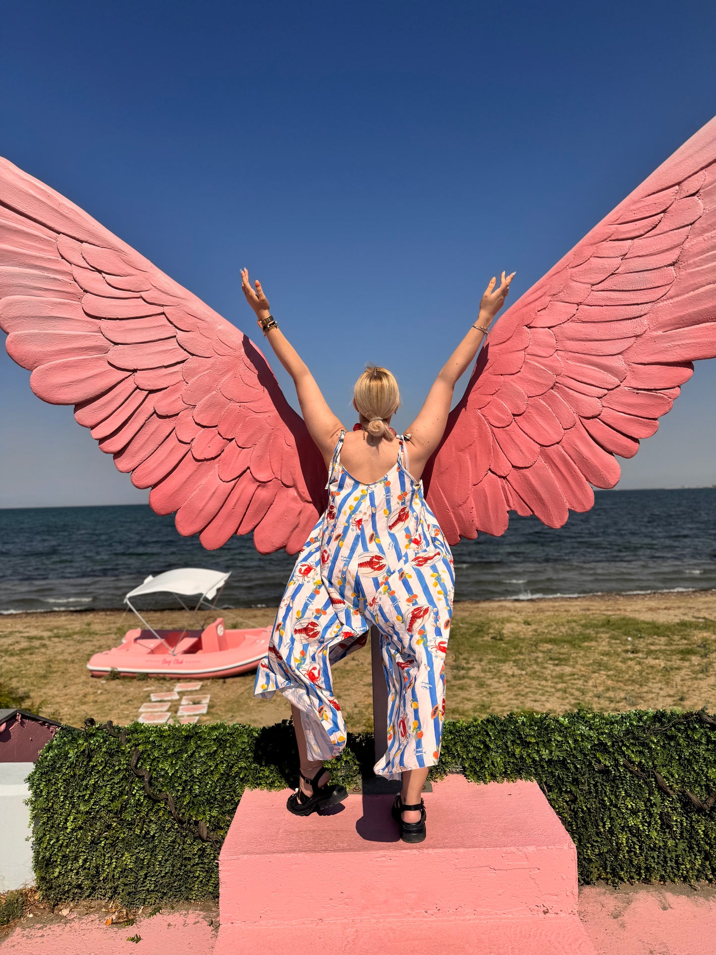 Lobster 🦞 multicolor Jumpsuit