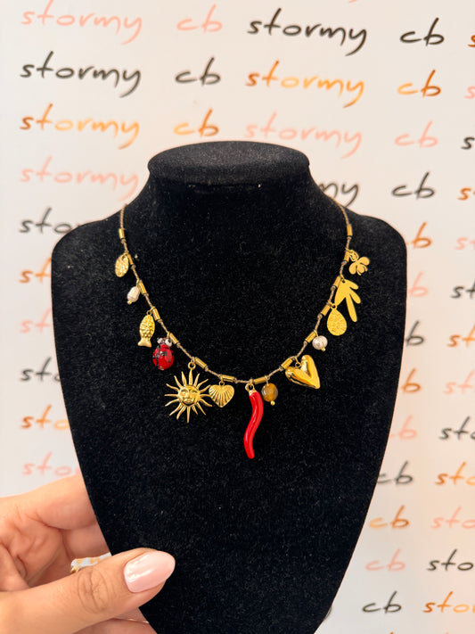 Ladybug 🐞 Necklace