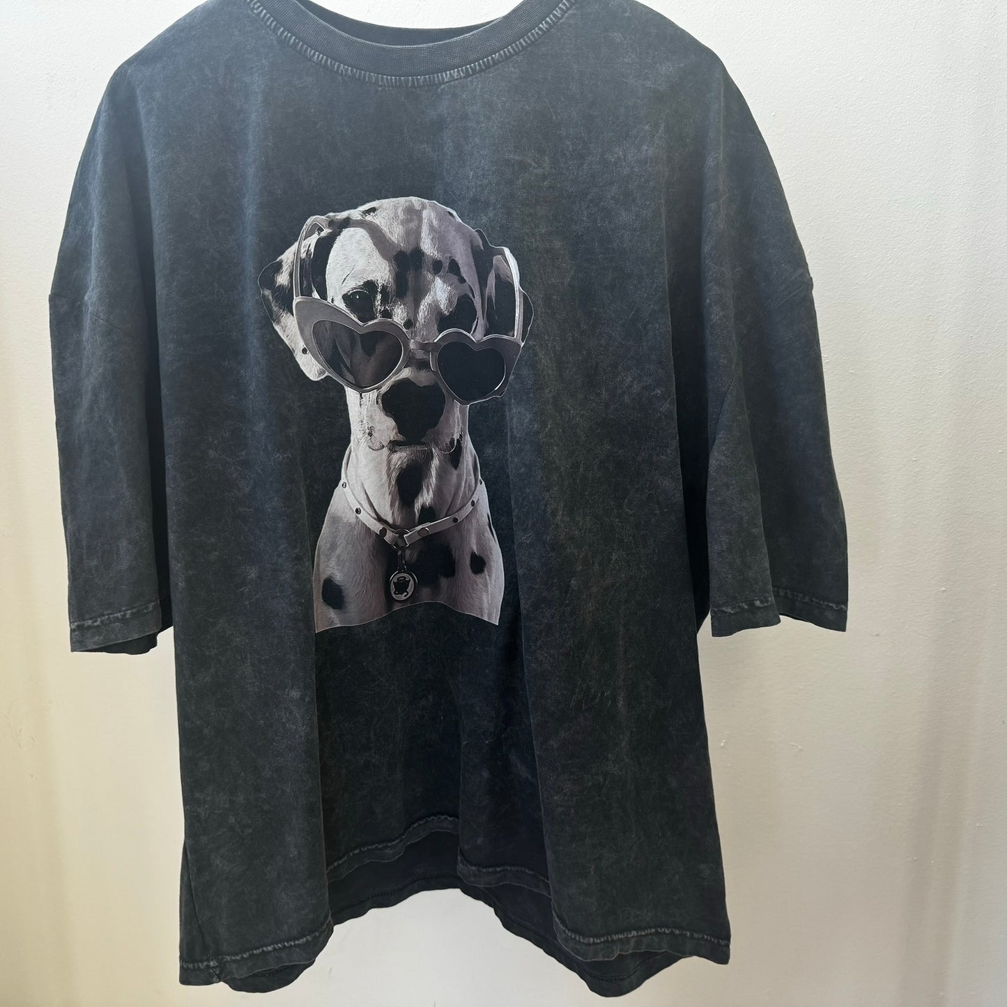 DALMATIAN OVER T-SHIRT