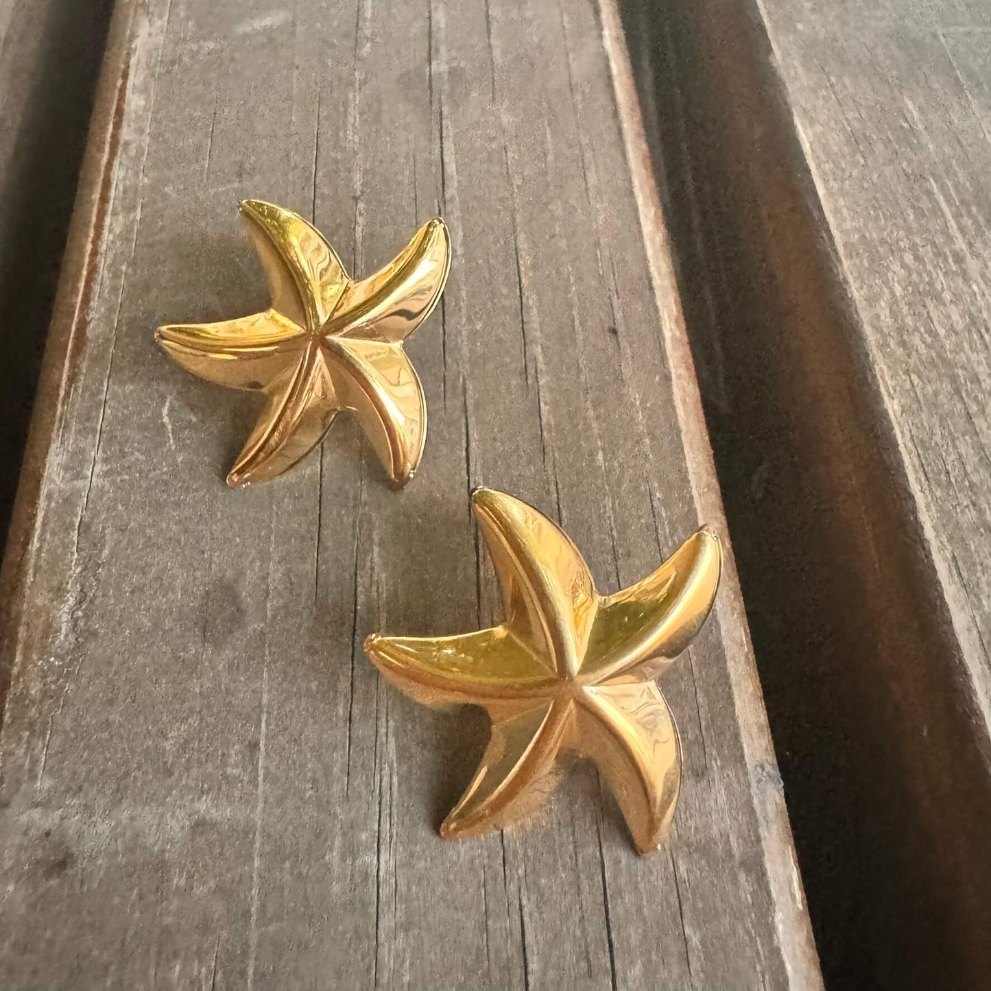 STARFISH EARRINGS